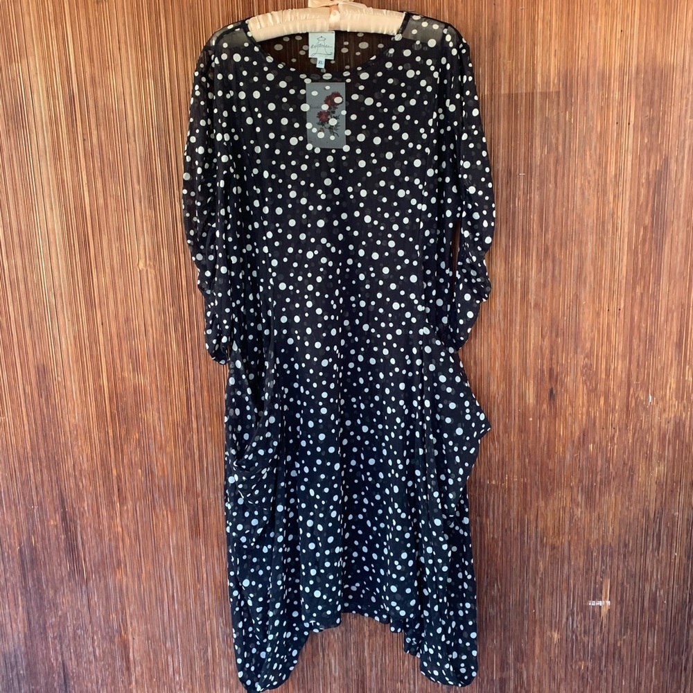 Super Cute Polka Dot Sheer Dress